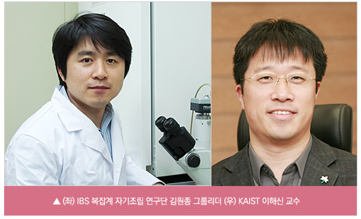 (좌)IBS 복잡계 자기조립 연구단 김원종 그룹리더, (우) KAIST 이해신 교수