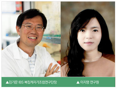 김기문 IBS 복잡계자기조립연구단장, 이지영 연구원