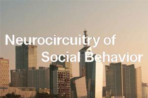 Cancellation of Keystone Symposium on Neurocircuitry of Social Behavior