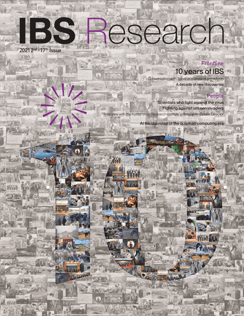 IBS Research 17th