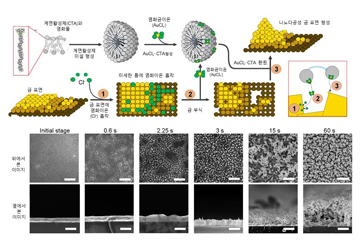 세상을 놀라게 한 기술, 세상을 놀라게 한 사기극