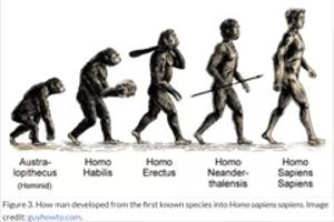 현생 인류, 진화의 동력은 기후변화 그렇다면 앞으로는?