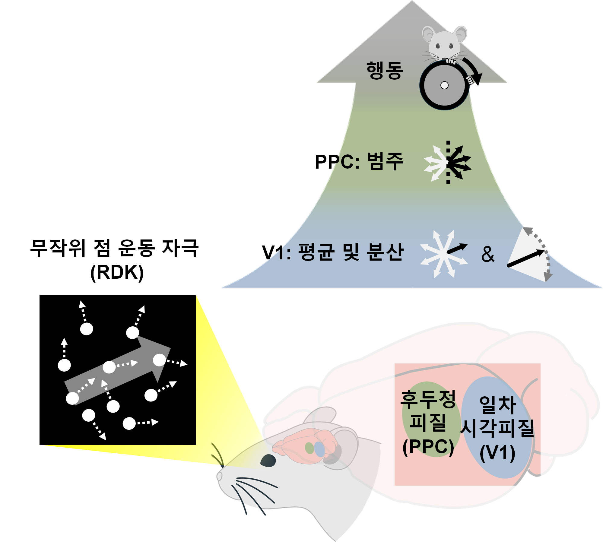 복잡한 장면을 한눈에 파악하는 뇌의 전략 밝혔다