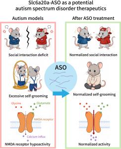 New Therapy May Reverse Autism-Related Brain Deficits