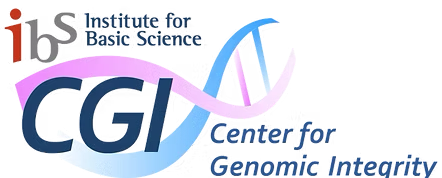 IBS Center for Genomic Integrity