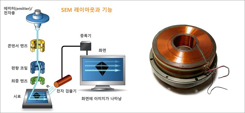 주사전자현미경 이미지