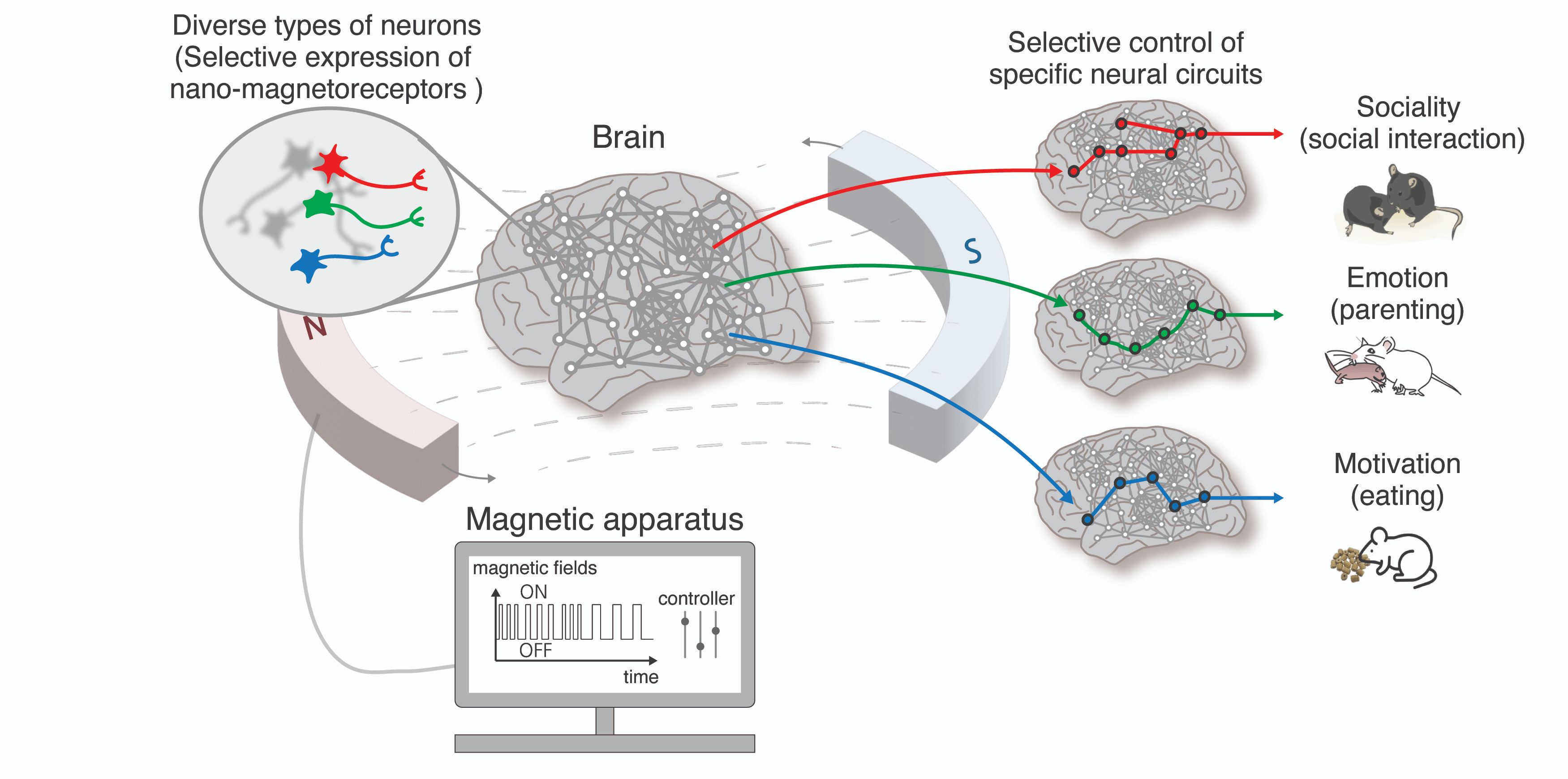 Figure 1. Overview of nano-MIND technology - regulation of higher-order brain functions through selective control of specific neurons and brain circuits