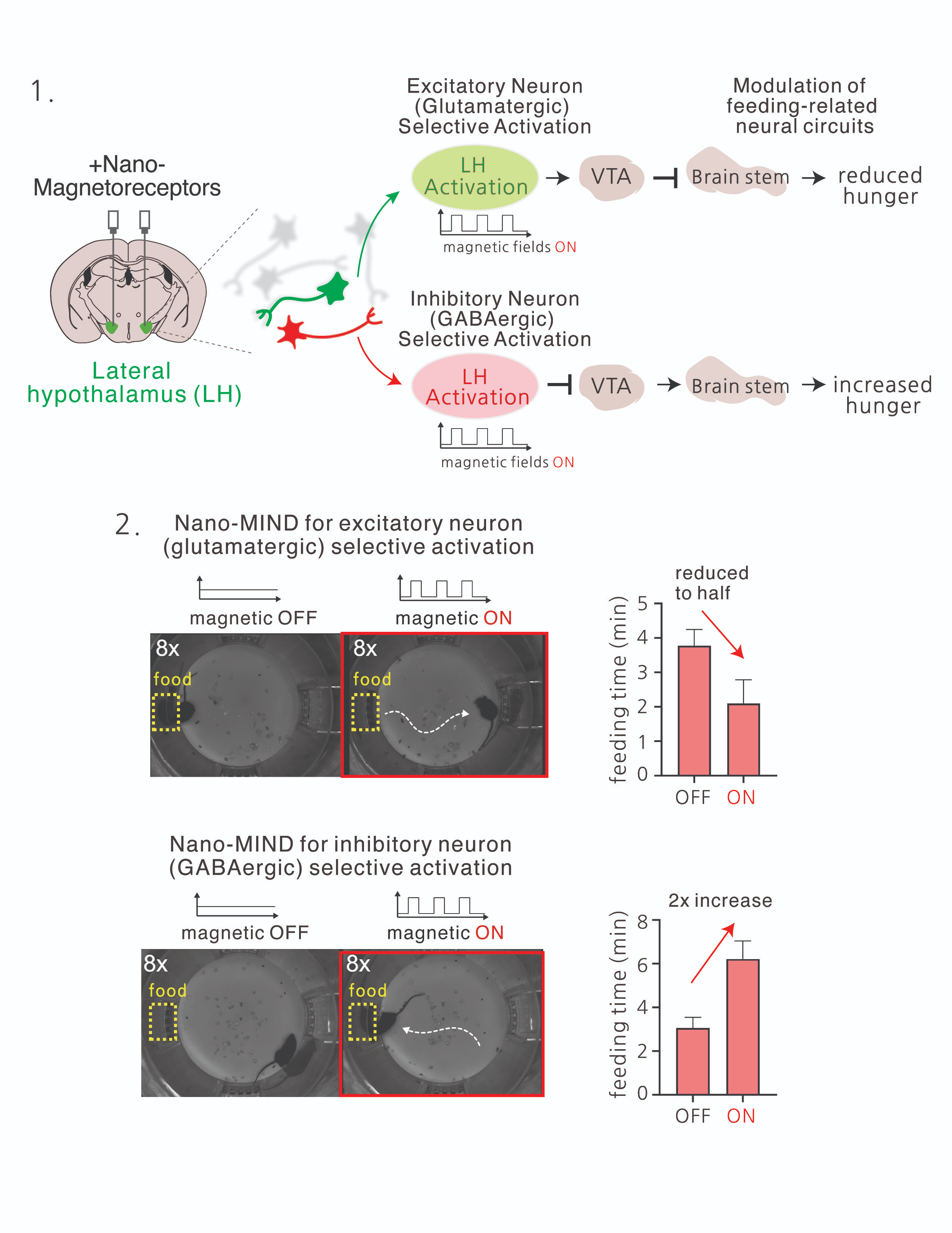 Figure 4. Bidirectional regulation of motivation control brain circuits using nano-MIND