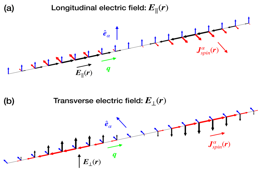 Figure 1. Schematic illustration for two distinct spin current generation scenarios in quantum paraelectric metals. (a) The longitudinal electric field () and its wave vector () align in the same x direction. A sinusoidal form is assumed where translation symmetry is assumed in the other directions. (b) The transverse electric field () and its wave vector (q) point in the different z and x directions. A sinusoidal form  is assumed. In each panel, the red arrows represent the direction of spin currents , the blue arrows denote the spin quantization axis , and the black arrows indicate the direction of the local electric fields. The thin black line guides the real-space modulation of  and  along the x direction. The sizes of the black and red arrows indicate the magnitudes of the electric field and the spin current, respectively.