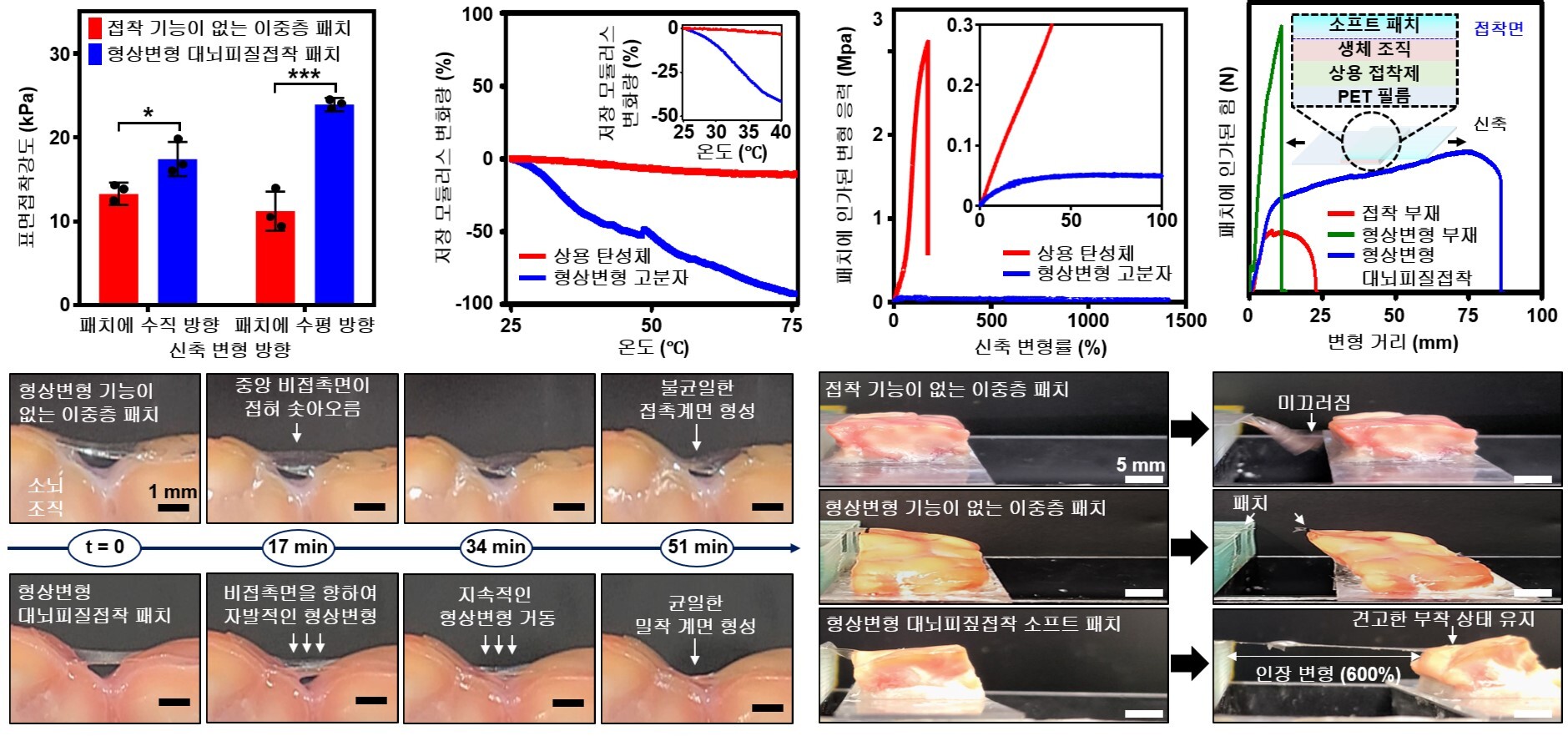 [그림 3] 연구진이 개발한 신축성 전자패치의 대뇌 곡면 밀착 및 표면 부착 기능 평가를 위한 생체 외 비교 실험결과
                  (왼쪽 위) 생체조직에 부착된 신축성 패치 소재의 표면 접착 강도
                  (왼쪽 가운데 위) 형상변형 고분자의 온도 상승에 따른 강성(모듈러스) 변화량
                  (오른쪽 가운데 위) 형상변형 고분자의 신축 변형에 따른 변형 응력 추이
                  (오른쪽 위) 조직에 부착된 신축성 패치의 신축 변형에 따른 변형 응력 추이 
                  (왼쪽 아래) 소뇌 조직에 적용된 신축성 패치 및 비교군 소재의 시간 경과에 따른 접촉면 형성 기능 시험 이미지.
                  (오른쪽 아래) 소뇌 조직에 부착된 신축성 패치 및 비교군 소재의 신축 변형에 따른 조직 부착 성능 실험 이미지.