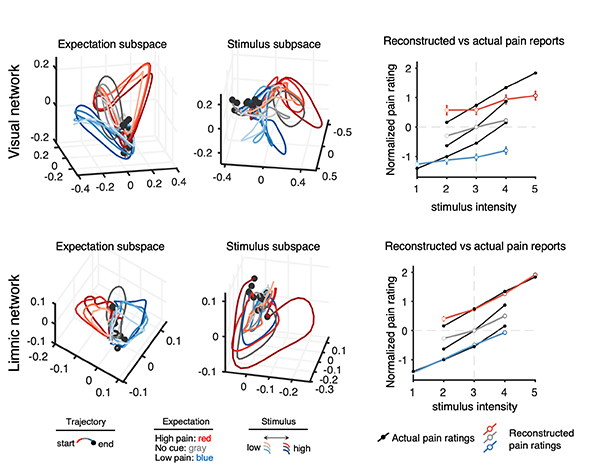 Figure 2. Subspace patterns and comparison of reconstructed vs. actual pain reports