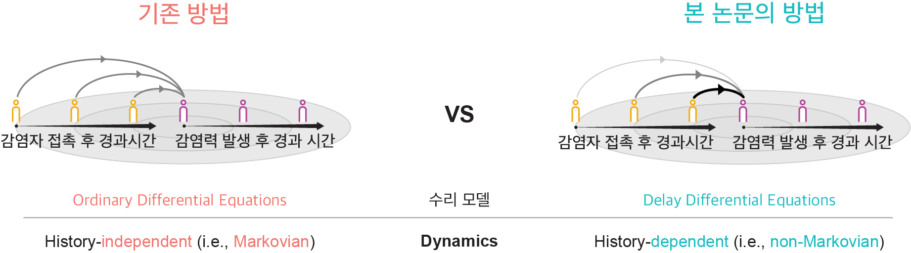 [그림 1] 현실적인 가정에 기반한 전염병 역학 지표의 새로운 추정 방법 개발
    IBS-KAIST-고려대-NIMS 공동연구진은 기존의 전염병 역학 지표 추정 방법의 근본적인 한계를 극복한 새로운 추정 방법을 개발했다. 기존 방법들이 미래 상태가 과거 상태에 영향을 받지 않고 현재 상태에만 의존한다고 가정하여 상미분방정식(ordinary differential equations)에 기반한 추정 방법을 사용한 반면, 새로운 방법은 과거 상태에도 의존할 수 있는 미래 상태를 가정하여 지연미분방정식(delay differential equations)에 기반한 추정 방법을 개발하였다.
    