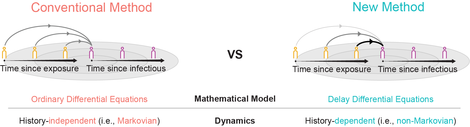 Figure 1. Novel methodology estimating epidemiological parameters based on realistic assumptions
        The joint research team has developed a new estimation method that overcomes the fundamental limitations of conventional epidemiological parameter estimation. (left) Conventional methods assume history-independent dynamics, which assume a constant probability of transitioning between different disease stages of disease regardless of time since exposure, and use mathematical models based on ordinary differential equations. (right) In contrast, the new method developed by the team adopts a history-dependent dynamics, where the probability of transitioning between disease stages changes over time, and introduces a mathematical model based on delay differential equations.
        