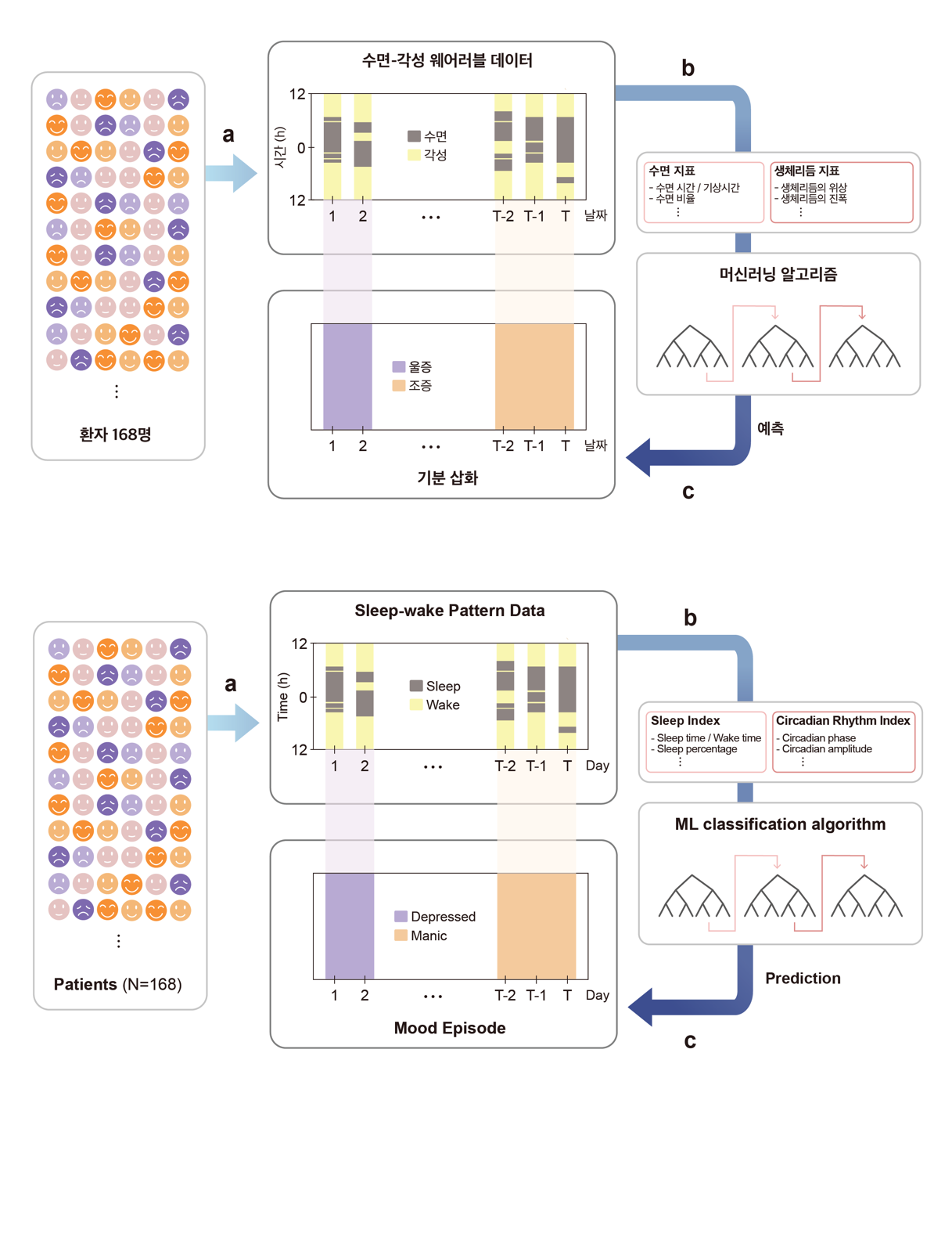 Figure 1. Development of a mood episode prediction model using only sleep-wake data