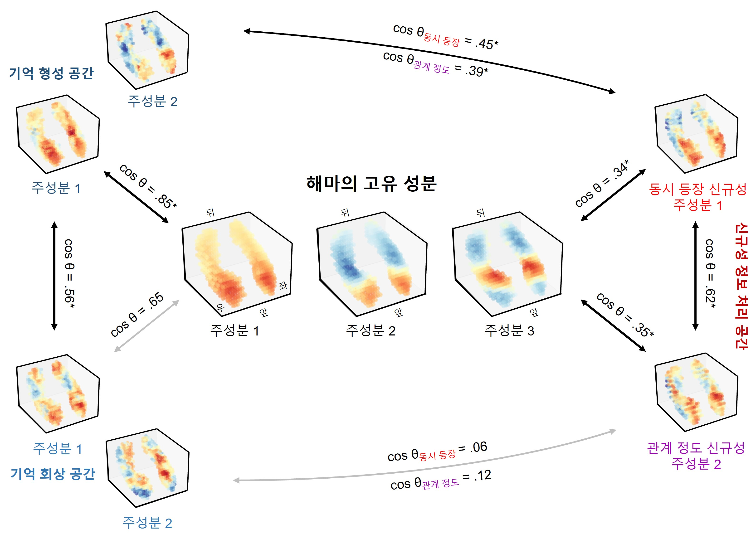 [그림2] 해마의 고유 성분과 하위 공간 성분의 비교