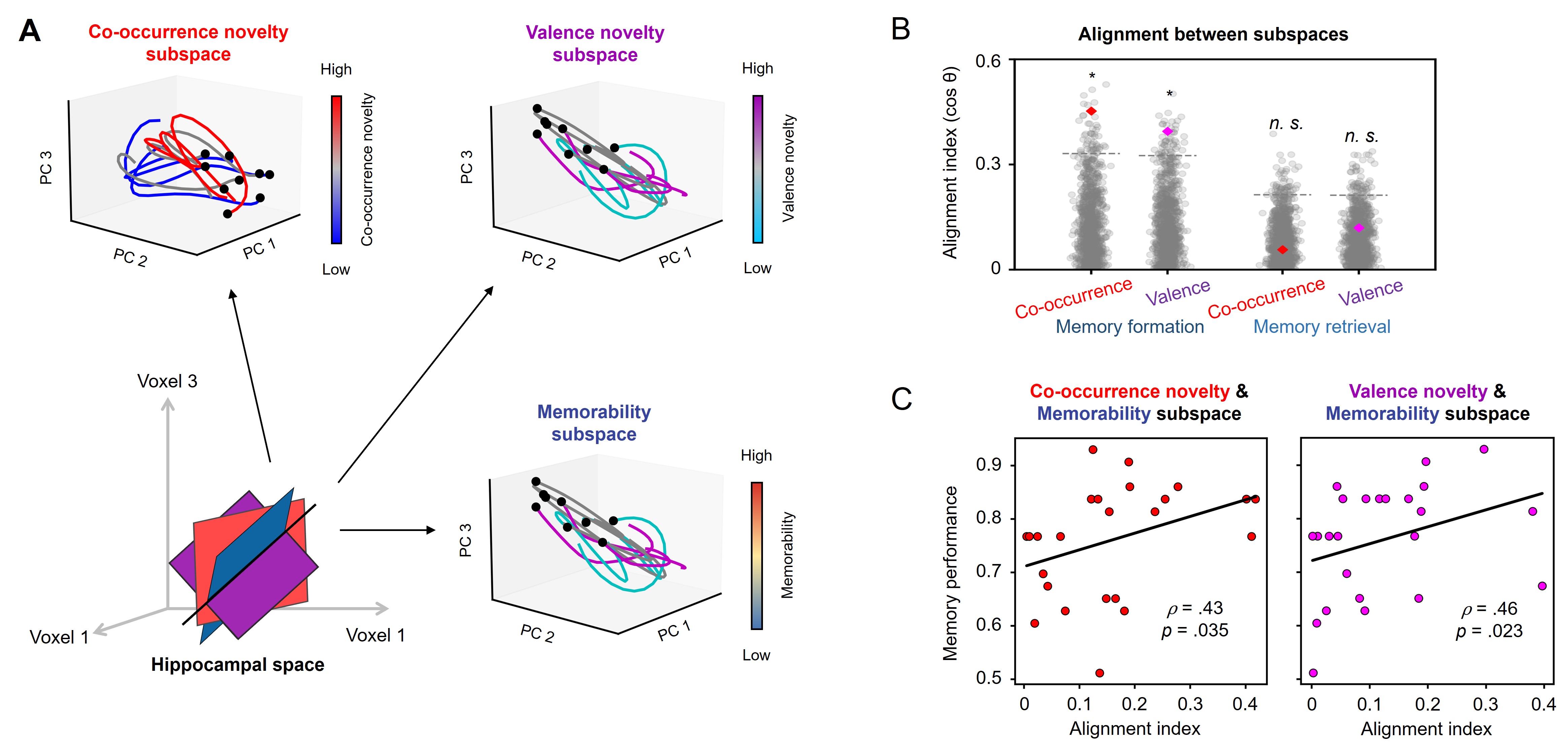 Figure 1. Alignment between hippocampal subspaces for memory processes