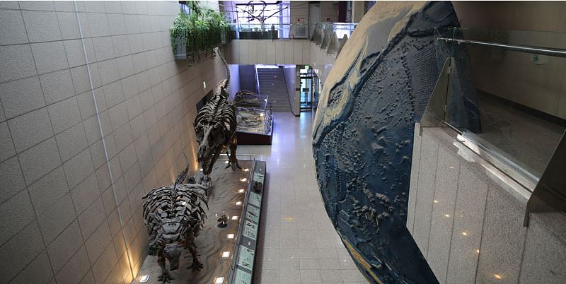 Geological Museum KIGAM 지질박물관
