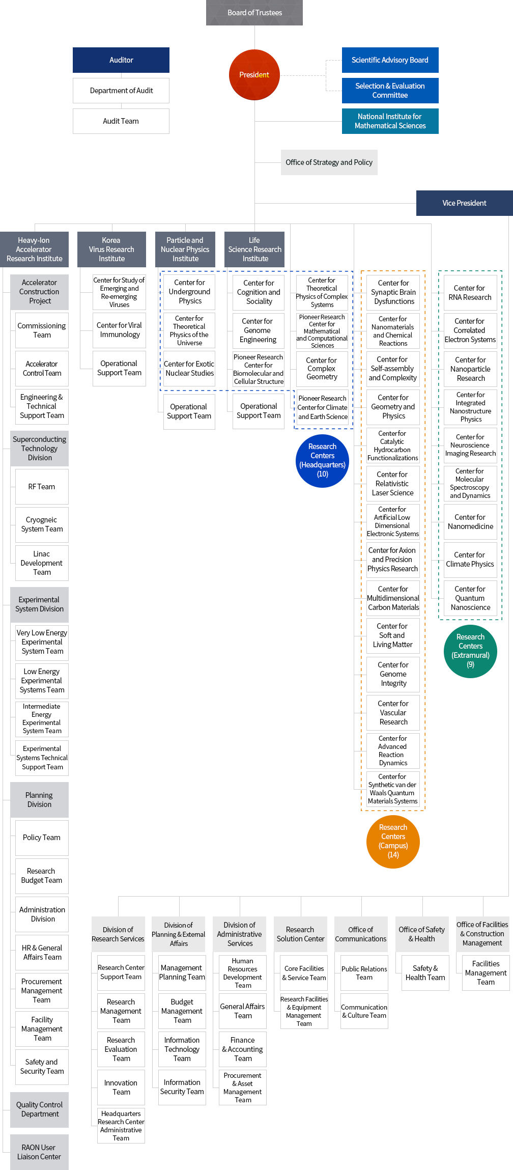 ibs Organization Chart