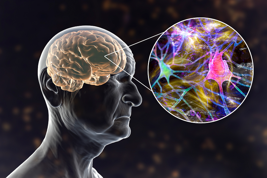 Center for Neuroscience Imaging Research(Cognitive and Computational Neuroscience Group)