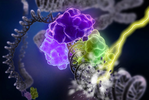 DNA 복구 과정을 완전히 규명해 암과 노화와 인류 진화의 비밀을 밝혀나갑니다. : 타이틀 이미지