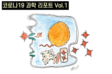 코로나바이러스-19는 어떻게 폐렴을 유발하나