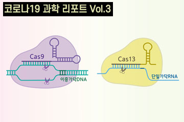 바이러스로 코로나바이러스를 잡는다