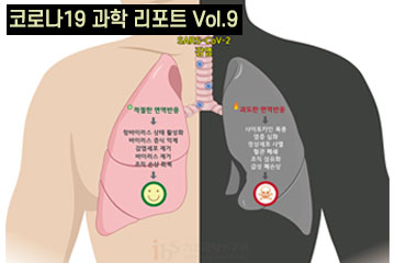 코로나바이러스, 결국은 면역이다 <하>