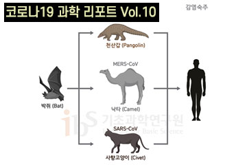 천산갑 코로나바이러스는 어떻게 인간에게 옮겨왔나