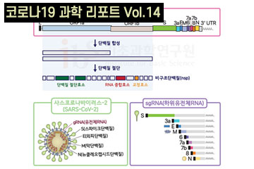 IBS가 밝혀낸 코로나19 유전자 지도의 의미