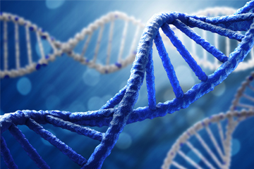 DNA 내부 이상 구조 제어법 발견…암 억제 활용 기대