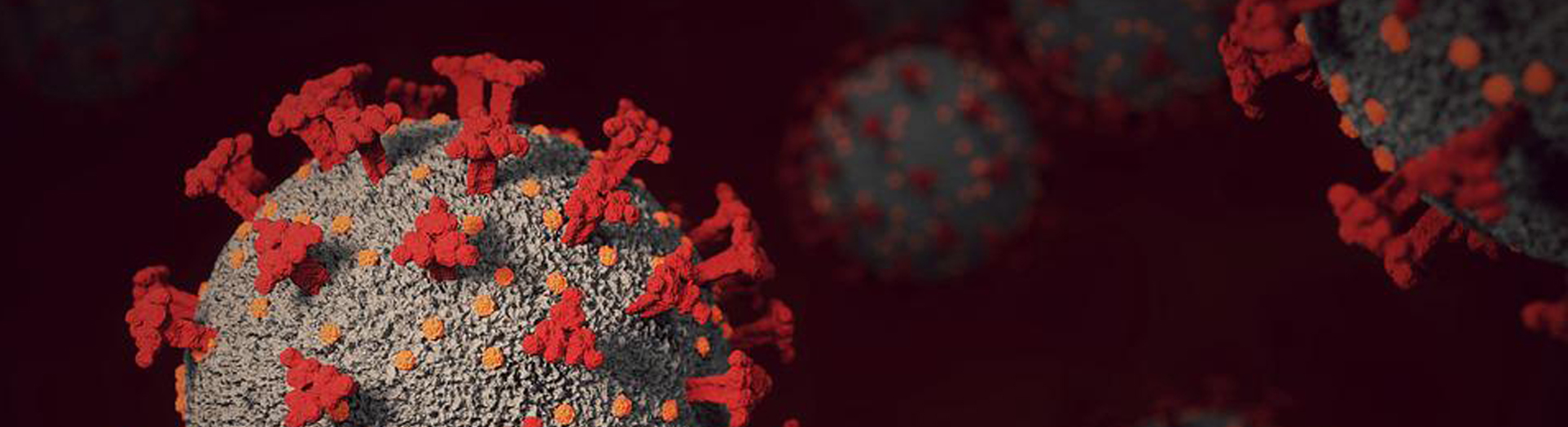 백신이 만든 기억 T세포, 오미크론에 강한 면역반응