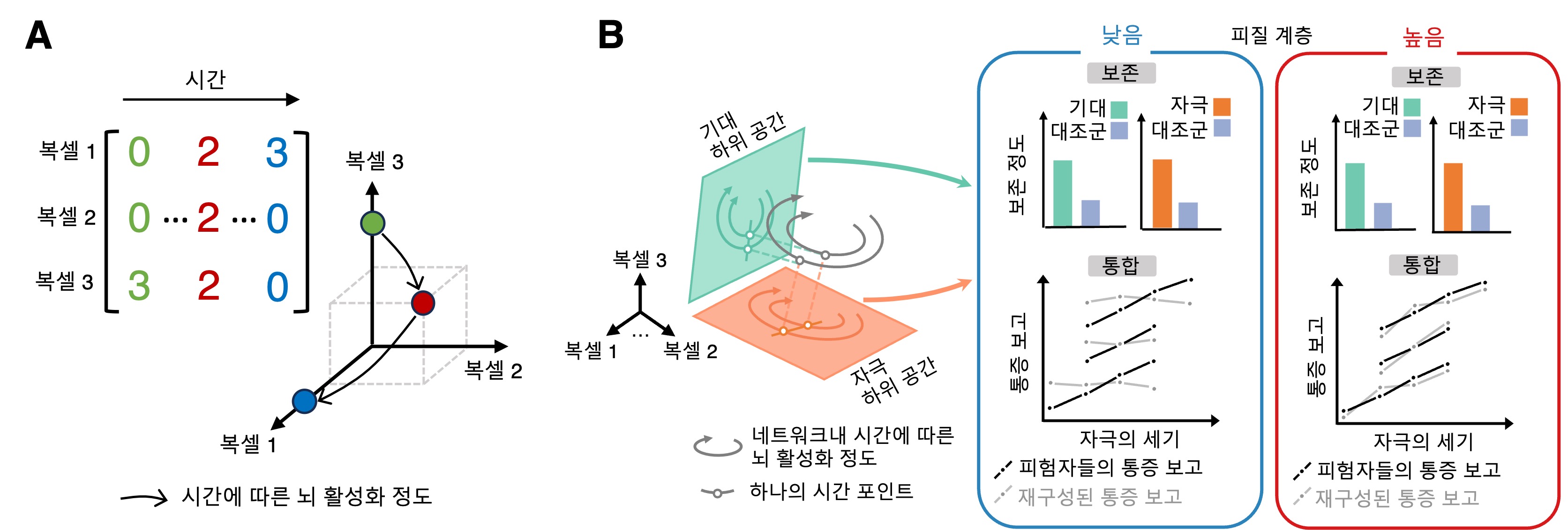 통증의 비밀 : 통증 예측과 외부 자극이 통합돼 나타나