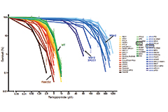 Charting a path toward overcoming glioblastoma resistance to chemotherapy