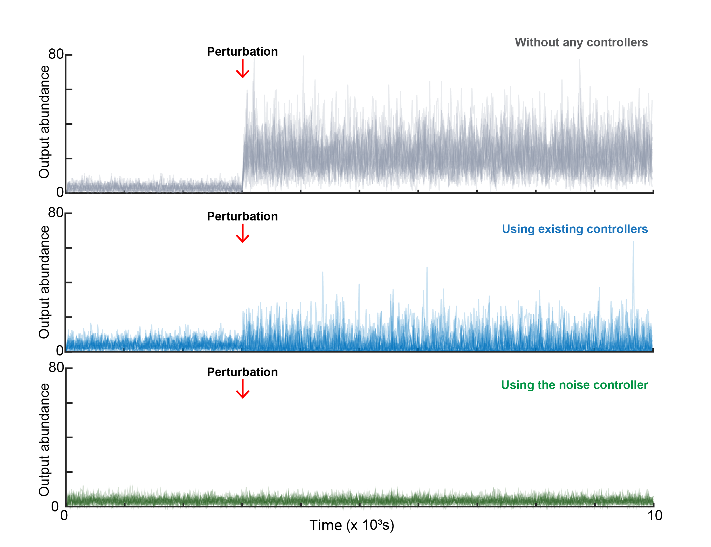 Mathematicians Tame Cellular “Noise” to Control Life at the Single-Cell Level