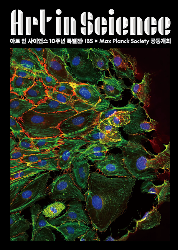 2025 IBS Art in Science