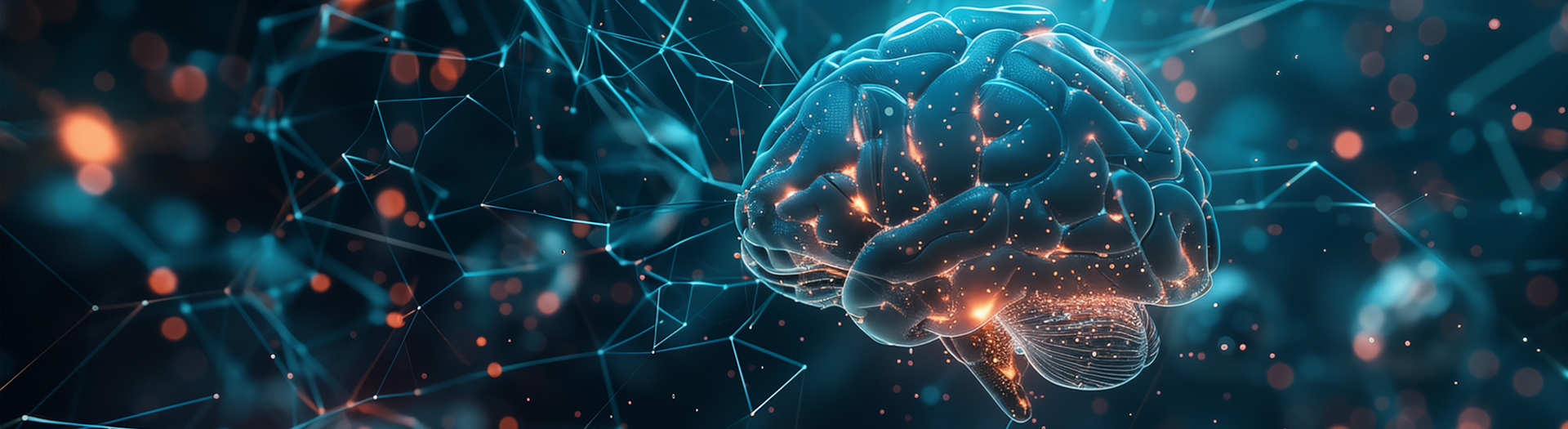 복잡한 장면을 한눈에 파악하는 뇌의 전략 밝혔다