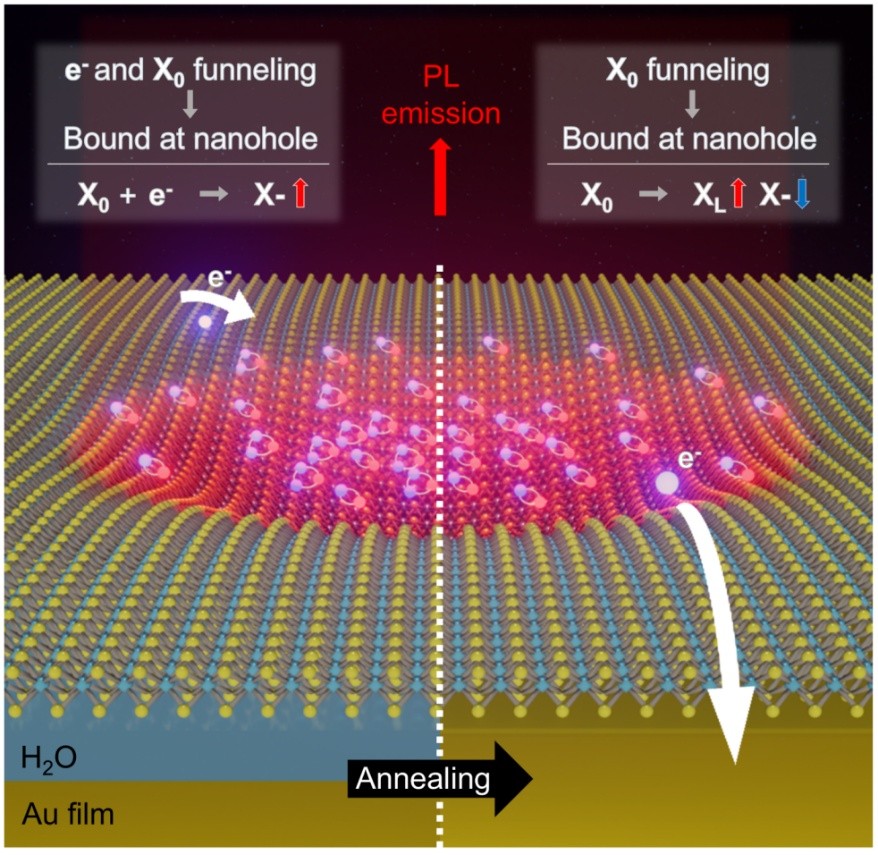 Bright Quantum Light Emission Achieved at Room Temperature in 2D Semiconductors