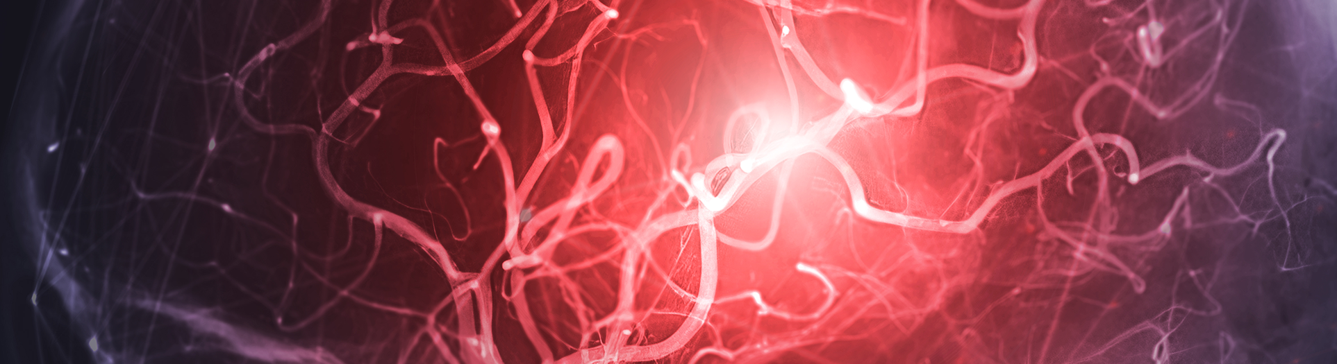 촉각에 집중하면 뇌는 어떻게 반응할까…주의, 감각 신호 일괄 증폭 아닌 '층별 차등 조절'