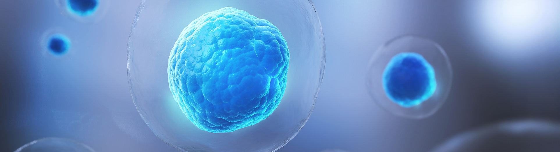 Scientists Reveal How Cells “Back Up” DNA Replication to Survive Severe Damage