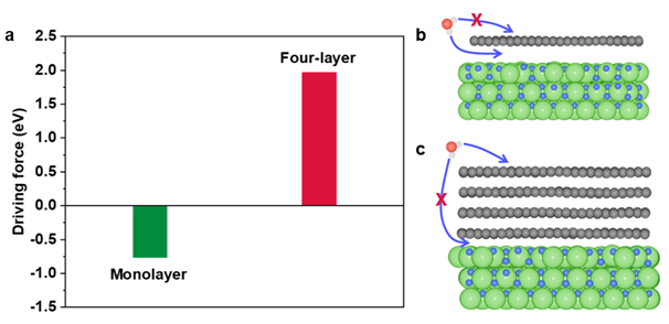 Machine Learning Proves that Graphene is Hydrophobic