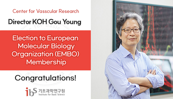 IBS Director KOH Gou Young Elected as Member of EMBO