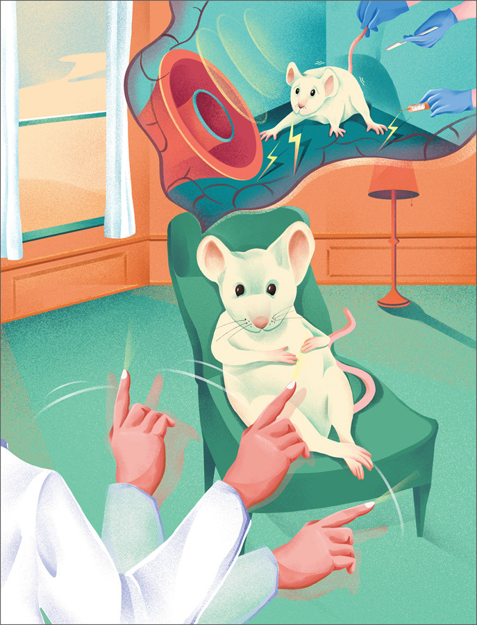 트라우마 기억을 가진 생쥐 모델을 이용해 양측성 자극이 동반될 경우, 공포반응이 효과적으로 감소한다는 사실을 입증한 IBS의 이번 연구를 한 눈에 보여주는 이미지(제공 제니곽 일러스트레이터).