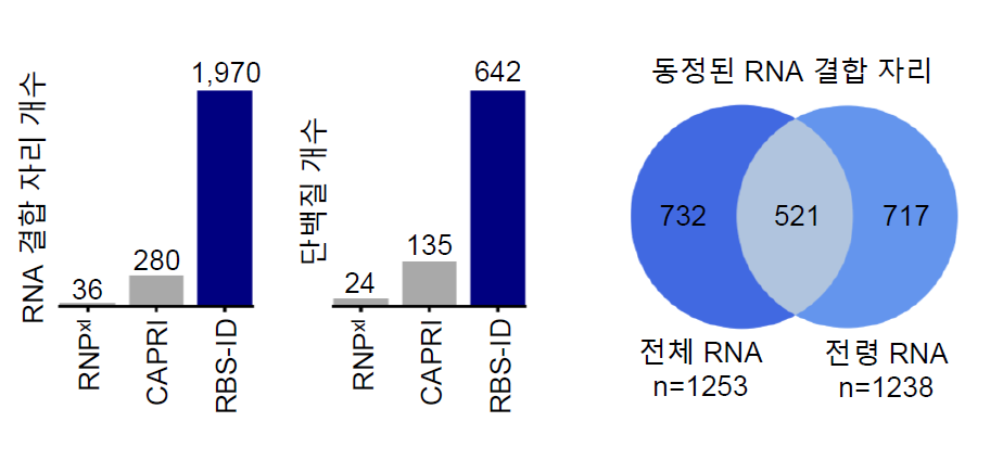 그림 2. RBS-ID의 광범위한 동정 범위 및 기존 기법들과의 비교.