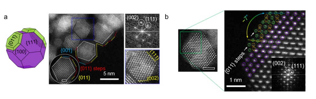 Figure 2. a) 3D illustration (left), TEM and STEM images (middle and top right), and the corresponding FFT pattern (bottom right) of CeO2/Mn3O4 nanocrystals. b) Atomic resolution STEM images of CeO2/Mn3O4 nanocrystals.