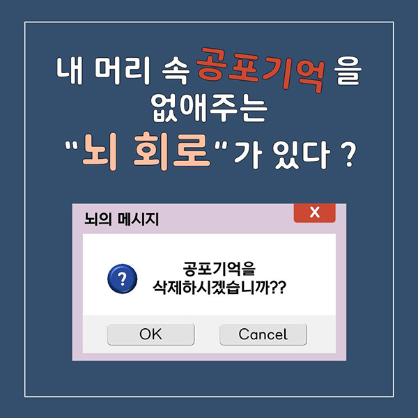 내 머리 속 공포기억을 사라지게 만드는 새로운 뇌 회로가 있다?