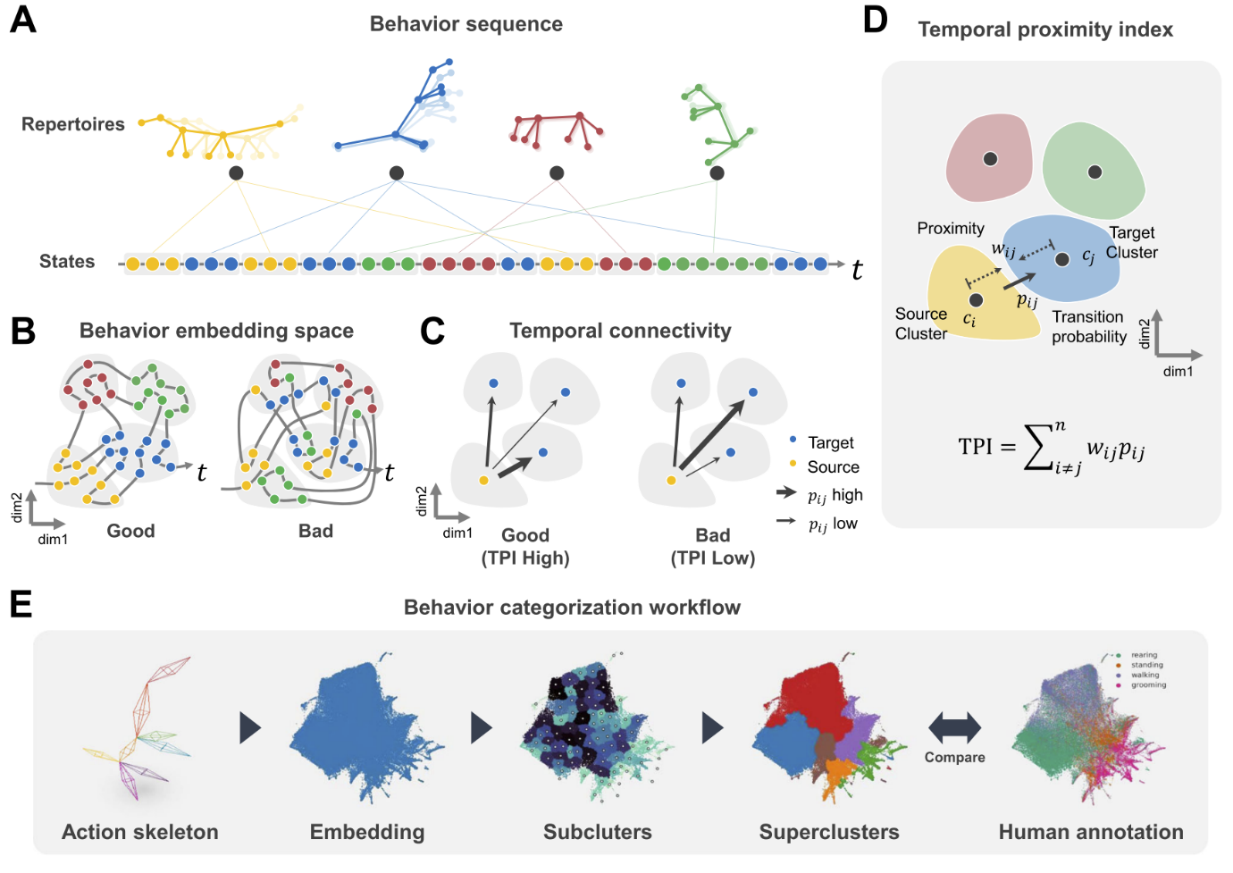 Figure 1. Proposing a new behavior embedding evaluation metric: TPI (Temporal Proximity Index)
(A) Displays the movement of a mouse's 3D action skeleton over time, with each color representing a standardized behavior repertoire (e.g., walking, standing).
(B) Once the behavior embedding space is created, examining the movement patterns over time can verify the quality of the embedding. A good embedding space has clusters that contain the same behavior states, showing efficient temporal movement, while a poor embedding space has clusters that contain different behavior states, resulting in inefficient temporal movement.
(C) The quality of temporal connectivity can be calculated by the total value of the product of transition probabilities between clusters and the distance between clusters (TPI). (Left) Frequent transitions to nearby clusters indicate good temporal connectivity. (Right) Few transitions to nearby clusters indicate poor temporal connectivity.
(D) Calculation method of the Temporal Proximity Index (TPI) for evaluating the temporal connectivity of the behavior embedding space.
(E) Workflow for unsupervised animal behavior analysis.