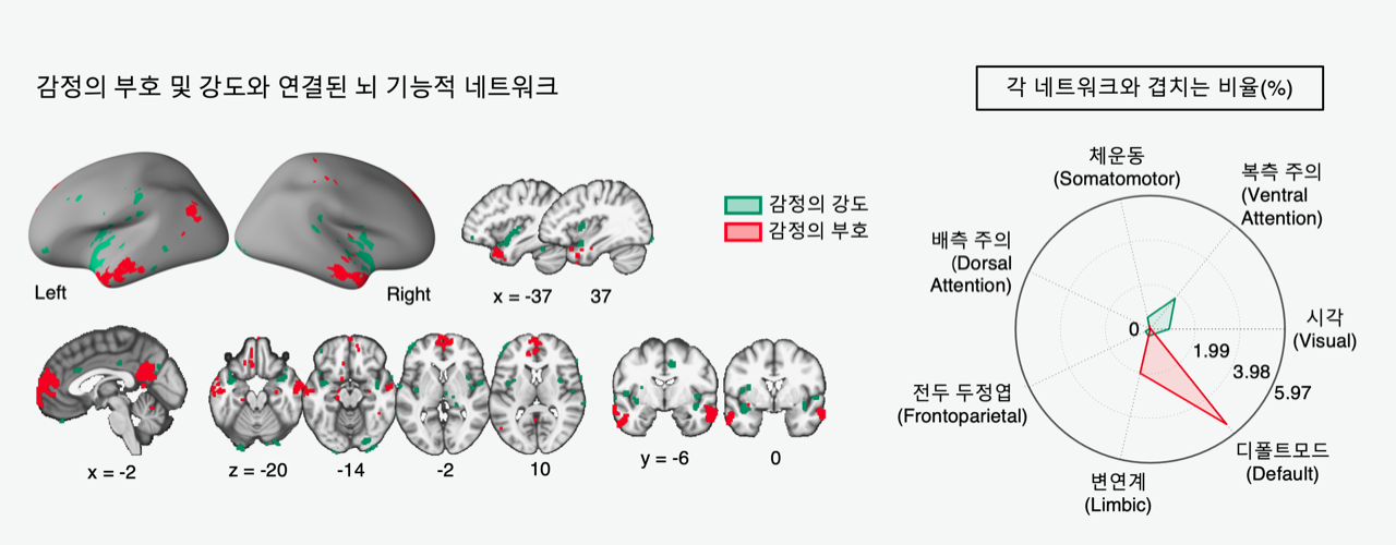 [그림2] 감정의 부호 및 강도와 연결된 뇌 기능적 네트워크
감정의 부호는 변연계(limbic) 및 디폴트모드(default) 네트워크가, 감정의 강도는 복측 주의(ventral attention) 네트워크가 연결돼 있다. 오른쪽 그림은 7개의 뇌 기능적 네트워크가 각각 감정의 부호 및 강도와 연결된 비율을 나타낸다. 
